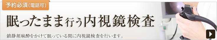 眠ったまま行う内視鏡検査　鎮静剤麻酔をかけて眠っている間に内視鏡検査を行います。予約必須（電話可）